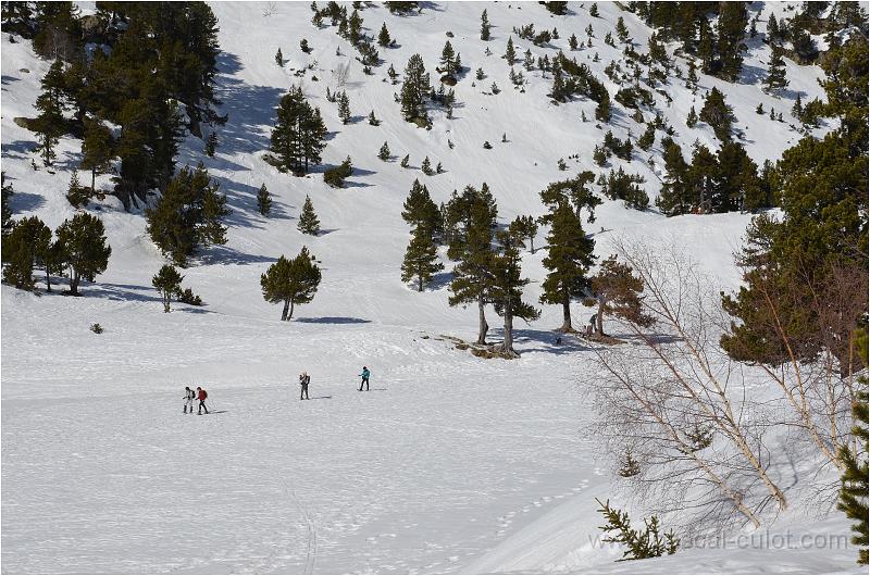 DSC_0444.jpg - On peut marcher sur le lac sans probl�me.