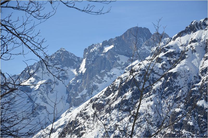 DSC_0423.jpg - Celce Ni�re ?.